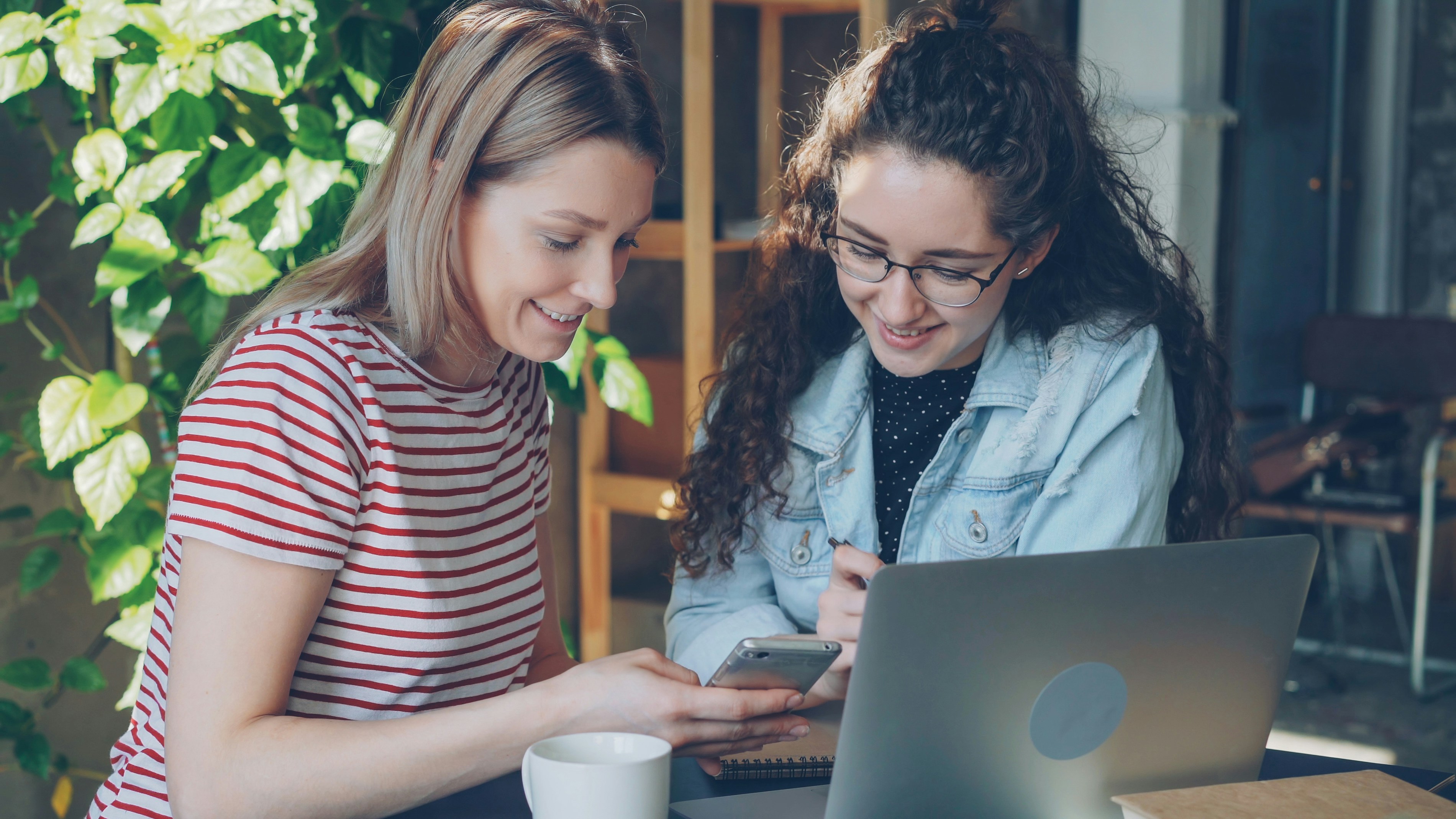 Professional team collaboration