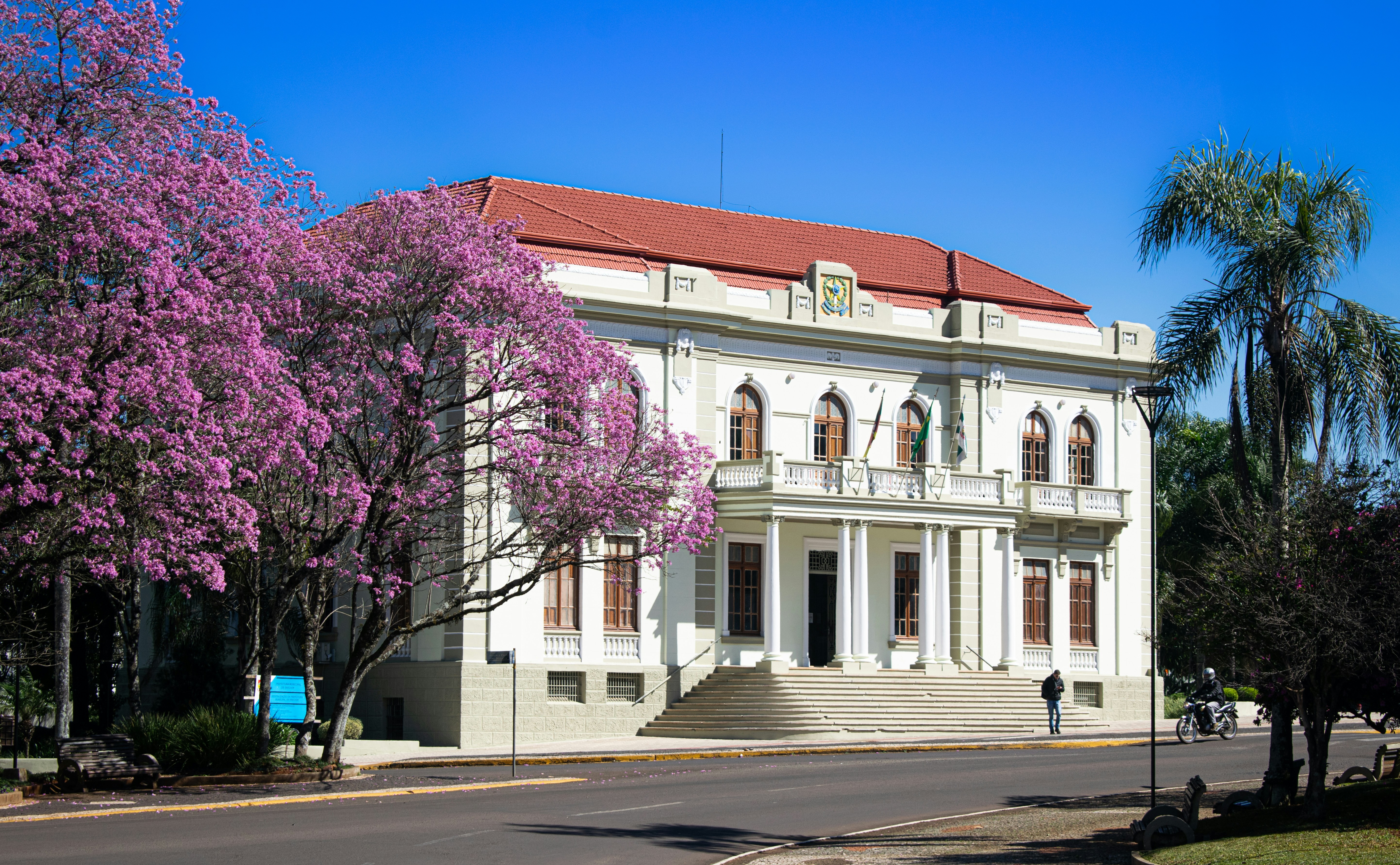 State & Local Government